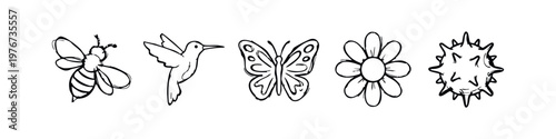 Doodle Nature and Garden Icons Set with Bee Hummingbird Butterfly Flower and Seed Pod