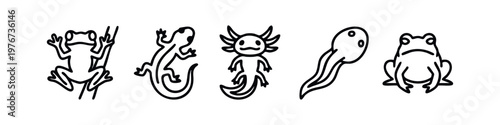 Minimalist Amphibian Line Icon Set with Frog Toad Axolotl and Salamander