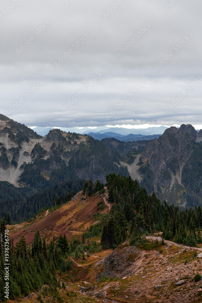 Fototapeta premium Autumn at Mount Rainier, WA