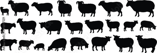 Sheep silhouettes, ram figures, lamb shapes, farm animals, livestock illustration, wool production, grazing posture, animal outline, agriculture design, black silhouette art