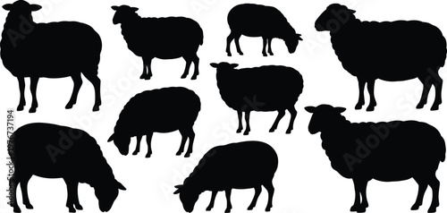 Sheep silhouettes collection, grazing poses, standing figures, farm animals, livestock vector, rural design, agriculture shadow art, black illustration, pasture scene