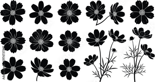 Black flowers on white background floral 1