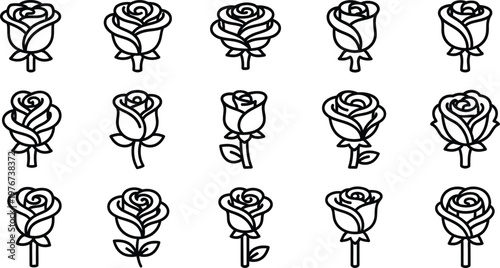 Black line of roses in various stages of bloom black and white line flowers floral botanical