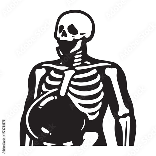 Human Skeleton with Distended Abdomen