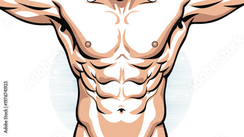 Close-up illustration of a highly defined male torso showing powerful abdominal and pectoral chest muscles.