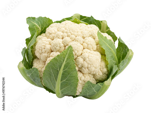 Fresh Cauliflower Head with Green Leaves Isolated on Transparent Background