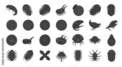 Prehistoric Paleozoic Sea Creature Silhouettes Vector Illustration of Ancient Marine Animal Icons