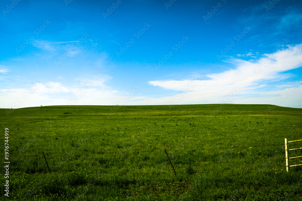 Fototapeta premium A wide green field stretches beneath a bright blue sky with scattered white clouds a wire fence runs along the front the open outdoor scene feels peaceful natural and calm