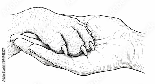 Hand Holding a Dogs Paw - A Bond of Friendship.
