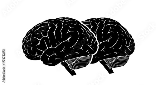 Two human brains depicted in a stark black and white illustration