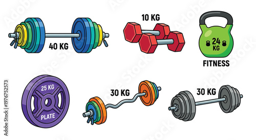 Various weightlifting equipment including dumbbells barbells and plates