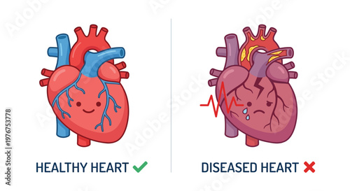 Visual comparison of a healthy and diseased human heart anatomy