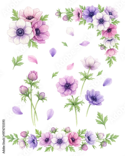 Watercolor anemone floral border and corner set isolated