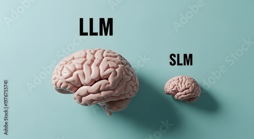 Llm vs slm comparing large small language models with brain imagery