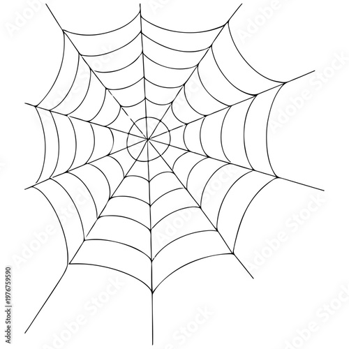 Spider web cobweb spider's web black