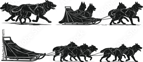 Dog sled team vector illustration, CAD style black silhouette sketch, harnessed dogs in motion, Arctic transport, winter sport designDog sled team vector illustration, CAD 