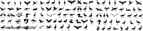 Demoiselle Cranes Solid Black Silhouette Bird Wildlife, Flying, and Nature Icons Set on White Background