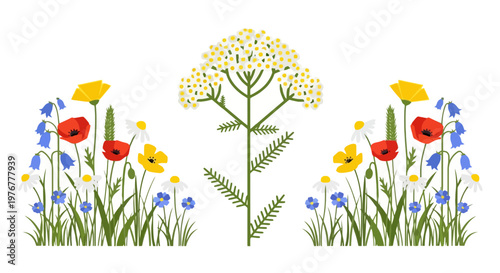 Colorful wildflower garden illustration with poppies daisies and bluebells in a whimsical design against a clean white backdrop