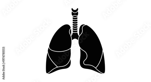 Anatomical illustration of human lungs in a black silhouette style