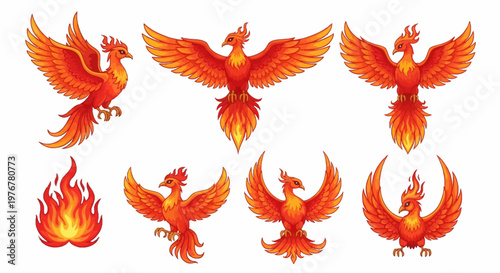 Set of six stylized phoenix bird vector illustrations in various flying poses and a flame element, featuring vibrant red and orange feathers on a white background.