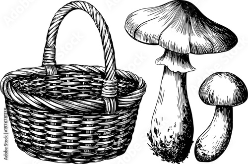 Hand drawn of a woven basket and mushrooms a white background wicker fungi