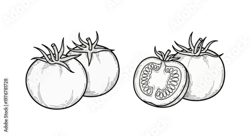 Black and white line art illustration of fresh tomatoes in two groups, featuring whole tomatoes and a sliced half showing seeds and internal structure, hand-drawn engraving style