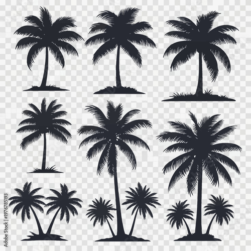 Collection of various black palm tree silhouettes featuring individual trees and small clusters isolated on a transparent background for tropical beach and summer vacation designs.