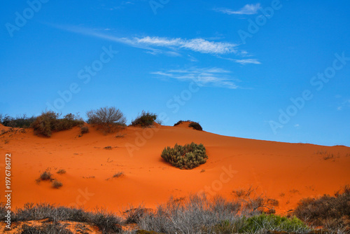 Skip Jack Point red sand dune landscape under blue sky, desert wilderness scene