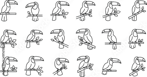 Collection of black outline toucan bird on branches black and white simple