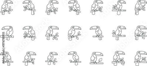 Collection of toucan bird line on branches with leaves line tropical wildlife nature