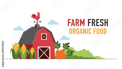 Traditional red farm barn surrounded by growing corn and carrots with a colorful rooster weather vane on the roof.