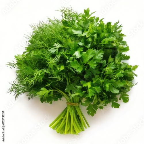 Fresh dill and parsley tied together, bright green