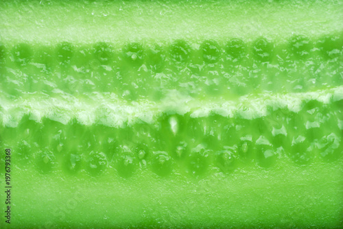 Green cut, close up cucumber, macro view