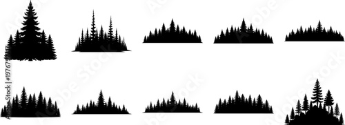 Collection of various pine tree silhouettes on white background for design and decoration