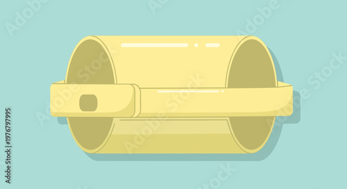 Pasta Cannelloni Tubes with Holder, Italian Food Ingredient, Isolated