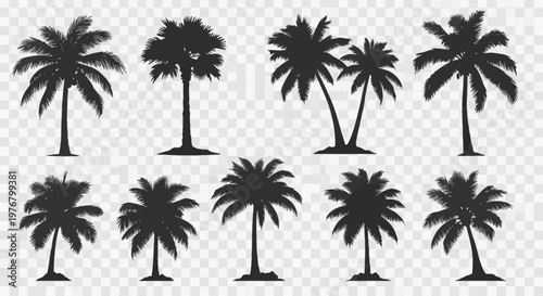 Set of various black palm tree silhouettes including coconut and fan palm species with detailed fronds, isolated on a transparent grid background for tropical summer themed graphic designs.