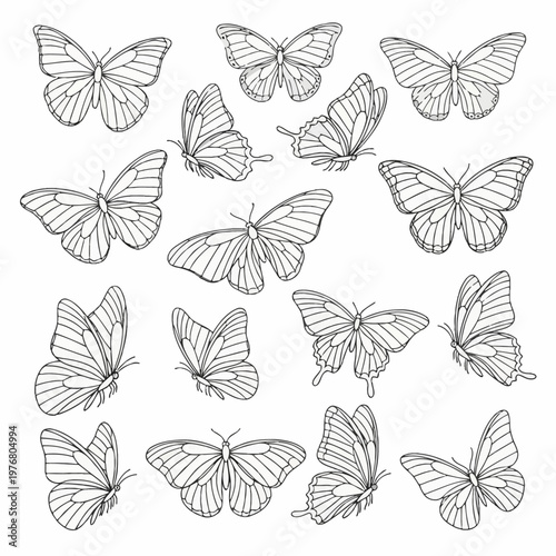Set of fifteen distinct butterfly line art illustrations in black and white. Various species depicted in overhead and side profile views on a plain white background.