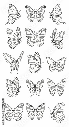 Set of fifteen butterfly line art illustrations in black and white, featuring various species and wing patterns from top and side views, suitable for coloring book pages or icons.