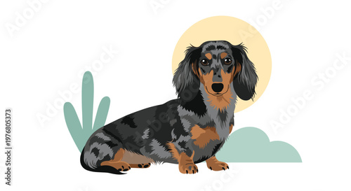 Long-haired dapple dachshund dog with a spotted merle coat pattern sitting against a warm yellow circular background.