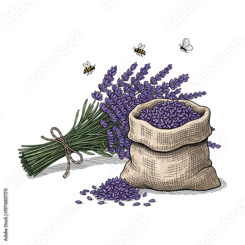 Lavender Flowers Bunch, Sacks, and Bees Illustration - Herbal & Aromatherapy Theme