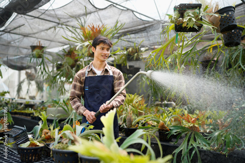 Fotografija A gardener with a watering hose and a sprayer water working in greenhouse and watering fern