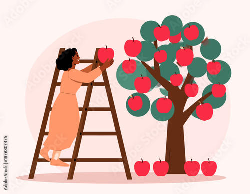 Woman on a ladder picking ripe red apples from a tree in an orchard. Harvest, organic farming, and autumn concept. Flat vector illustration.