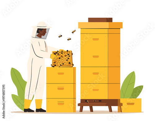 Beekeeper in white protective suit inspecting a beehive in the garden. Honey production and apiculture concept. Flat vector illustration.