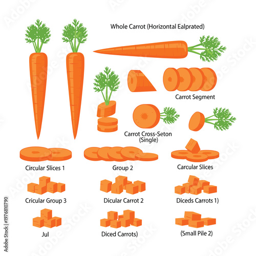 Carrot Cuts: Whole, Sliced, Diced, and Julienne - Food Preparation Illustration
