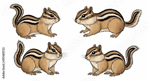 Set of four chipmunk illustrations isolated on white background, featuring brown fur with black and white dorsal stripes in profile view for nature and wildlife design projects.