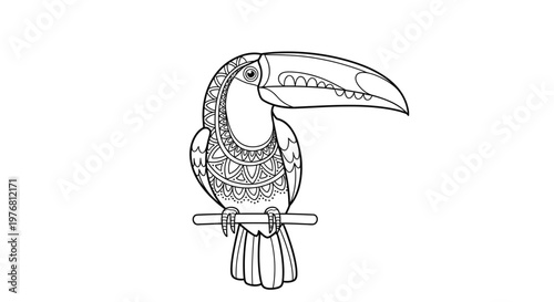 Black and white illustration of a toucan perched on a branch