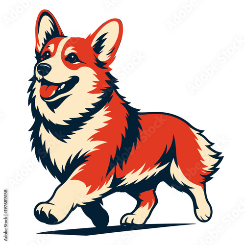 Cute cartoon corgi vector illustration of a funny wild mammal character with a fluffy fur, isolated on white background for nature and animal pet art design.