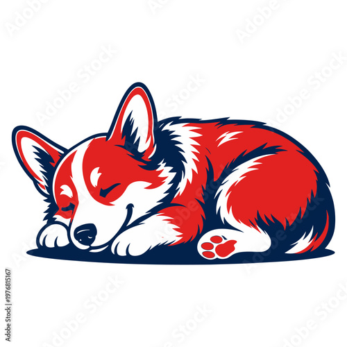 Cute cartoon corgi vector illustration of a funny wild mammal character with a fluffy fur, isolated on white background for nature and animal pet art design.