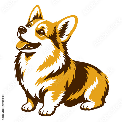 Cute cartoon corgi vector illustration of a funny wild mammal character with a fluffy fur, isolated on white background for nature and animal pet art design.
