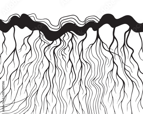 Abstract Black and White Root System